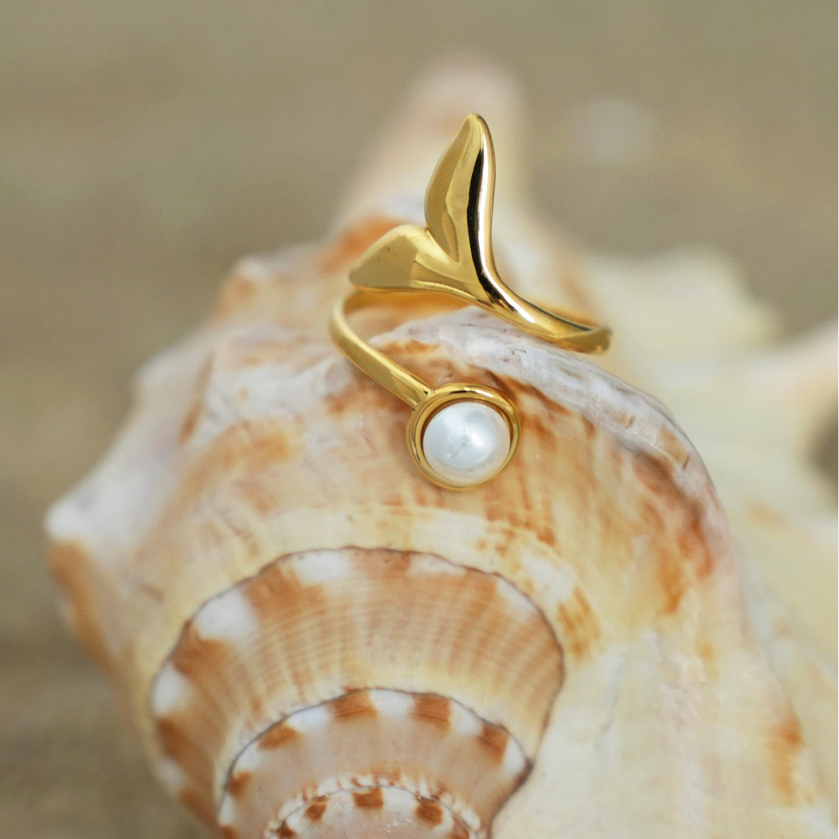 ANILLO DELFÍN