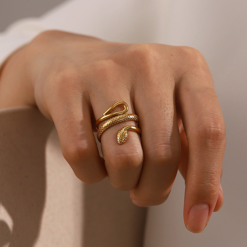 ANILLO ENEMIGA