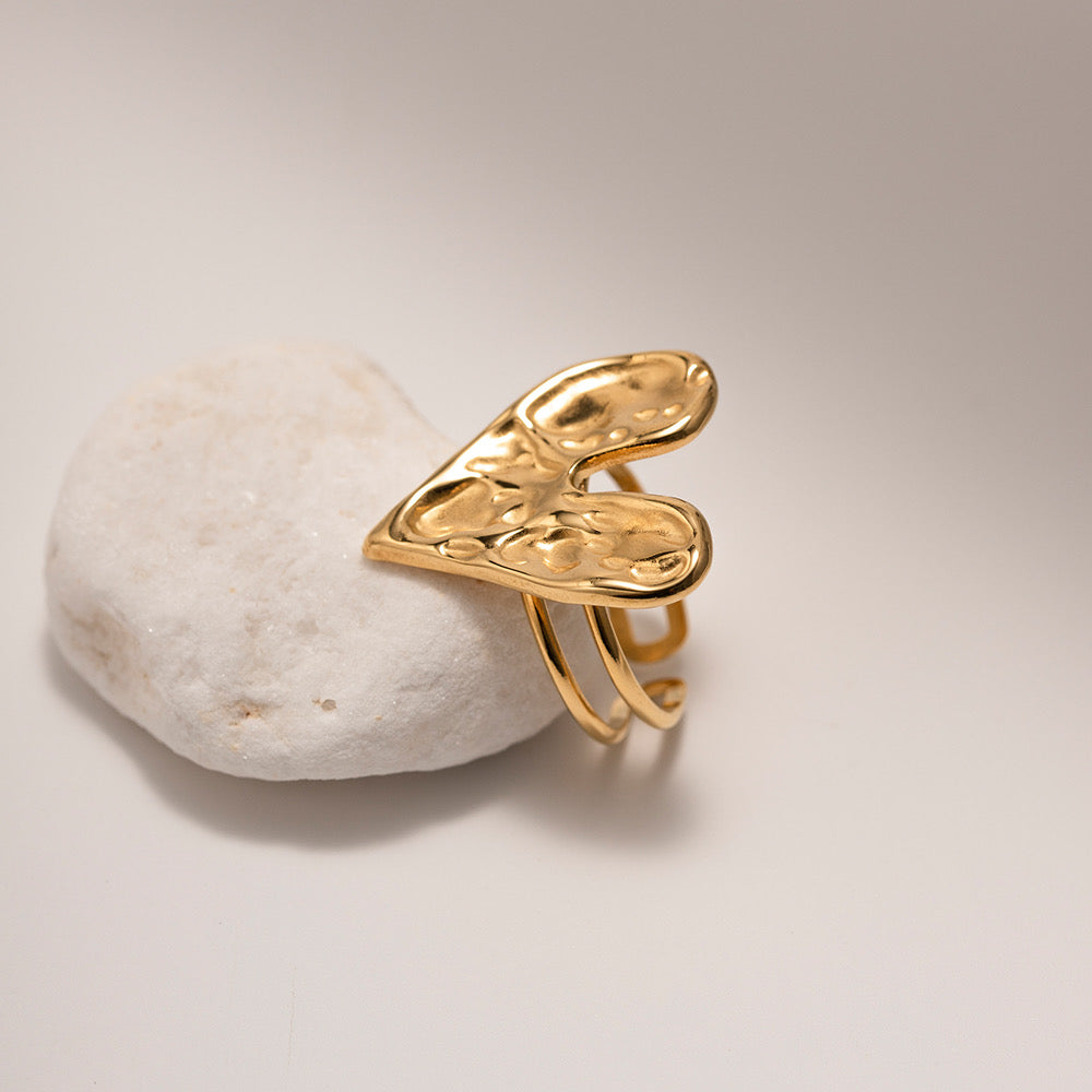 ANILLO PASSIONE