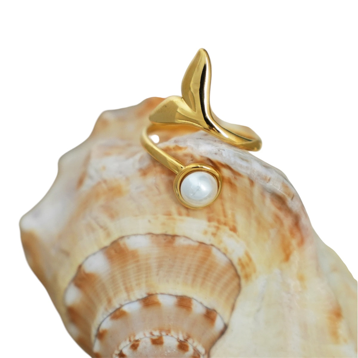 ANILLO DELFÍN