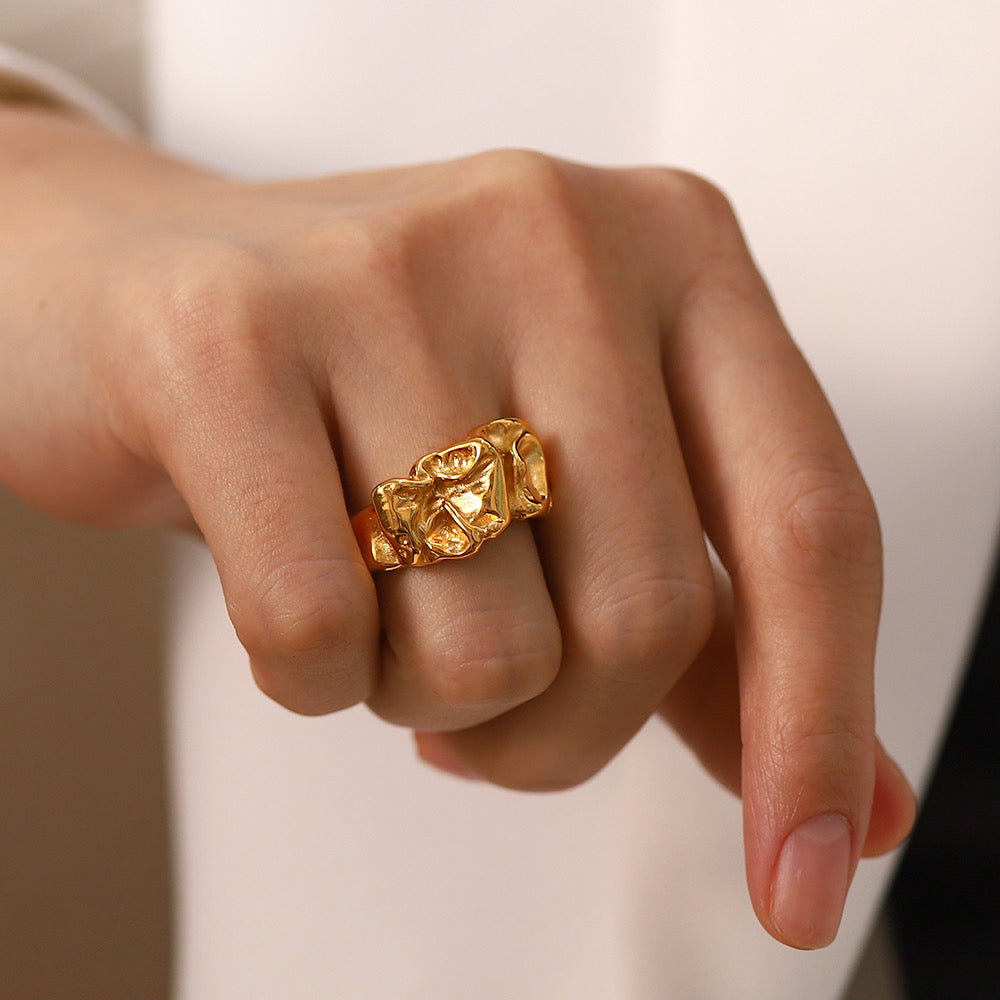 ANILLO DISTORCIÓN