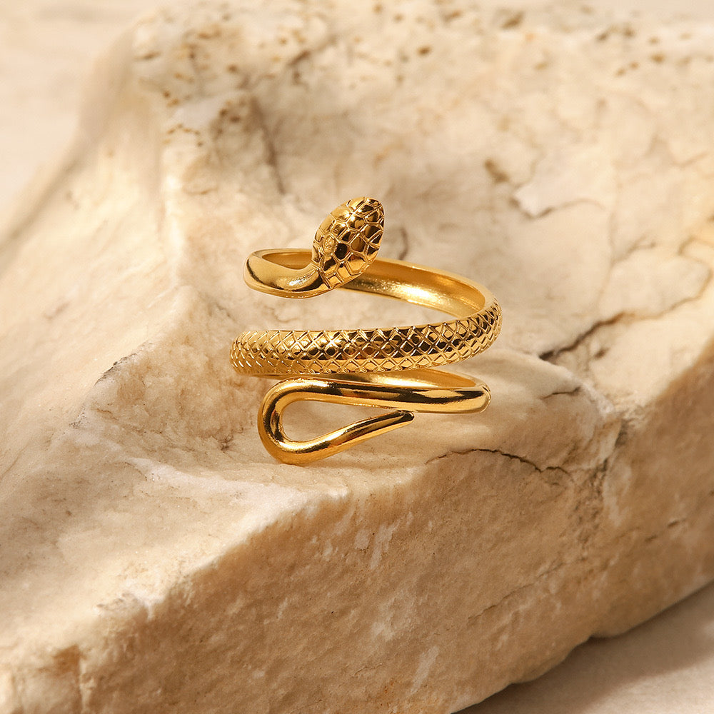 ANILLO ENEMIGA