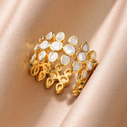 ANILLO LUMIÈRE