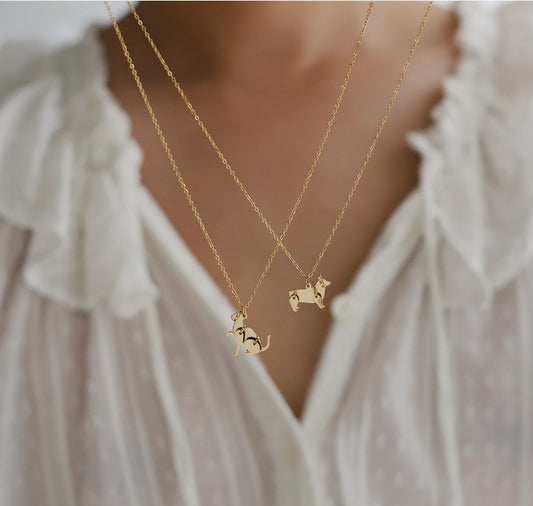 COLLAR ANIMÁLIA