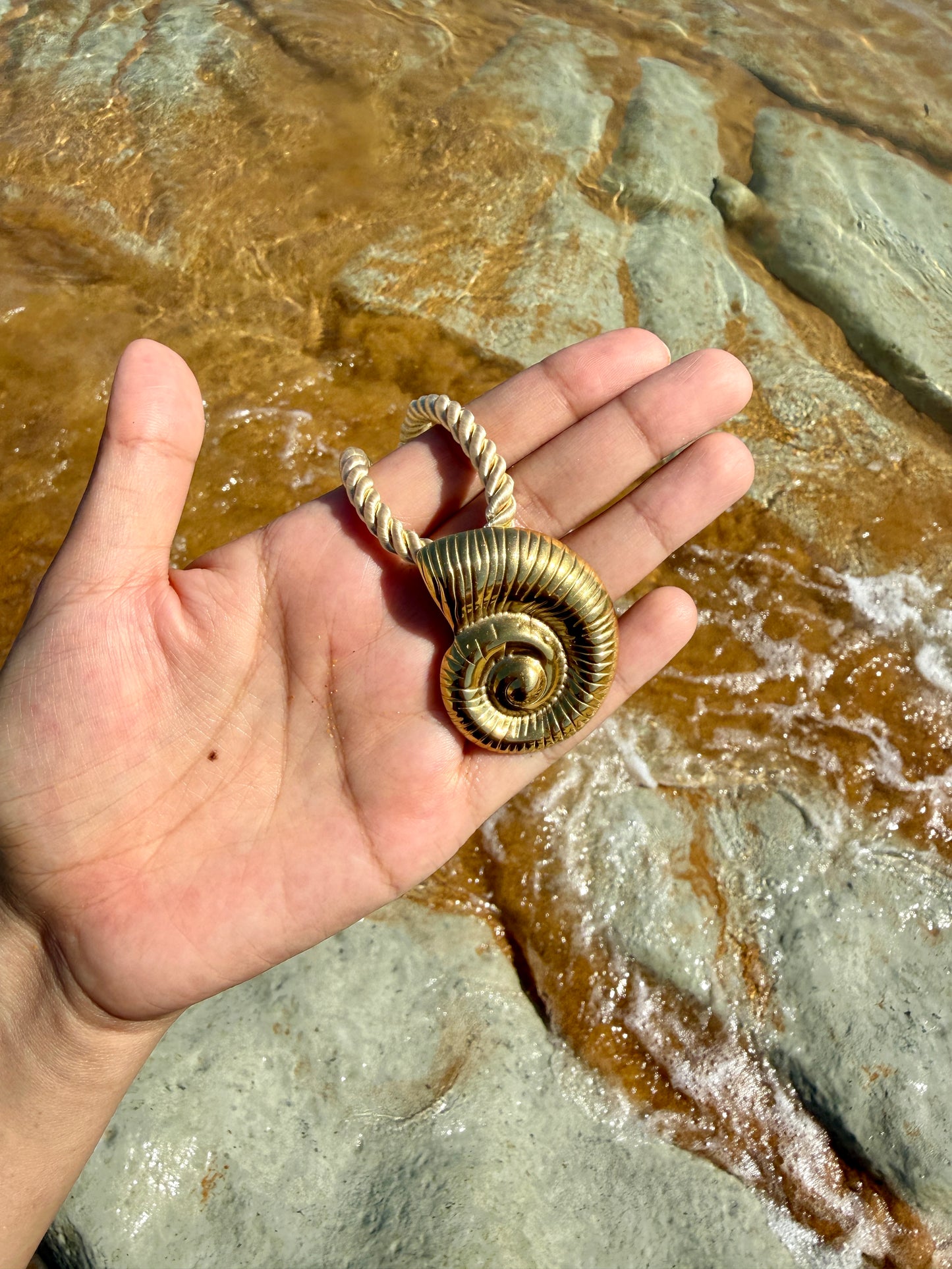 COLLAR SNAIL