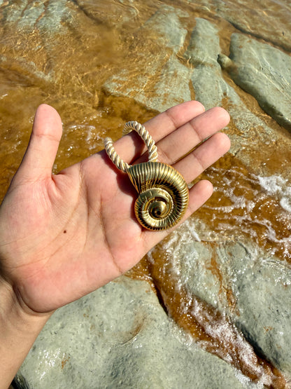COLLAR SNAIL