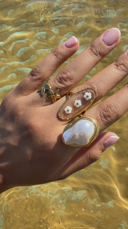ANILLO HANNA